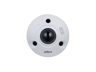 CAMERAS ET SUPPORTS - DH-IPC-EBW8842P-AS