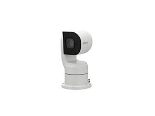 CAMERAS ET SUPPORTS - DH-PTZ1A225-HNR-GB
