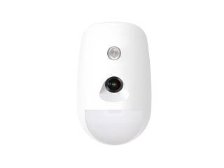 ALARME - DS-PDPC12PF-EG2-WE(B)