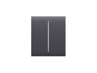 MODULES D'AUTOMATISATION ET D'INTEGRATION - CenterButton (2-gang)-GRA