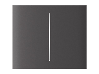 MODULES D'AUTOMATISATION ET D'INTEGRATION - Ajax CenterButton (2-gang) [55] grey