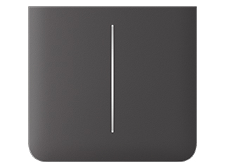 ALARME - Ajax SideButton (2-gang) [55] grey